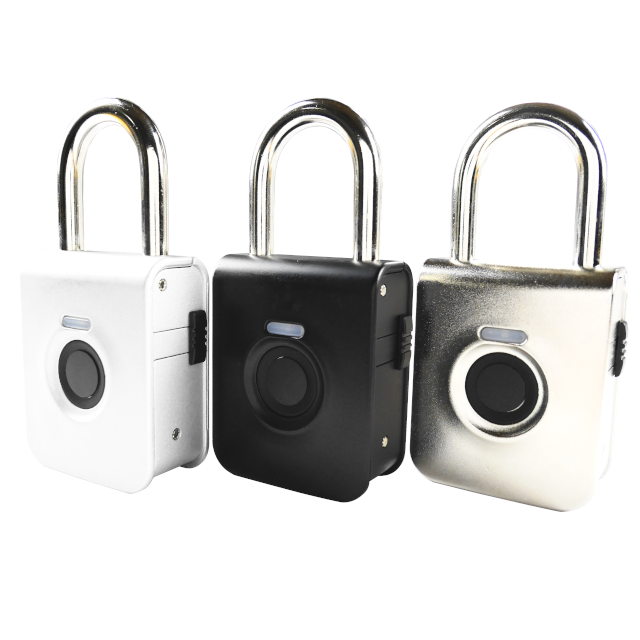 Durable Intelligent Fingerprint Recognition Lock No-Key Zinc Alloy Padlock